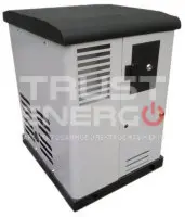 Газовый генератор REG GG14-380SV