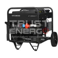 Бензиновый генератор Hyundai HY 12000LE-3 с АВР